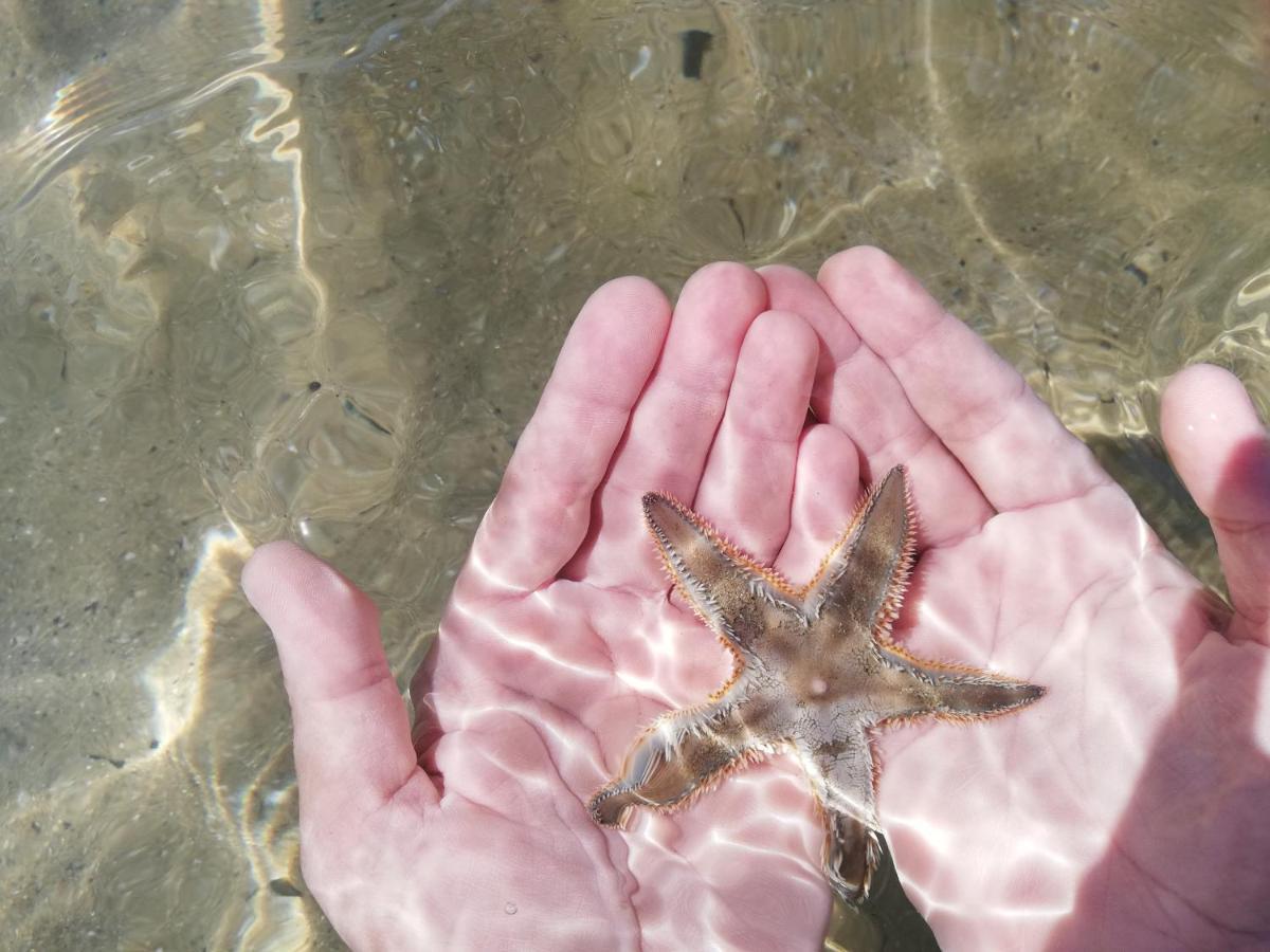 Attico Fronte Mare Διαμέρισμα Martinsicuro Εξωτερικό φωτογραφία